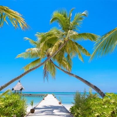 kaiyun体育下载入口