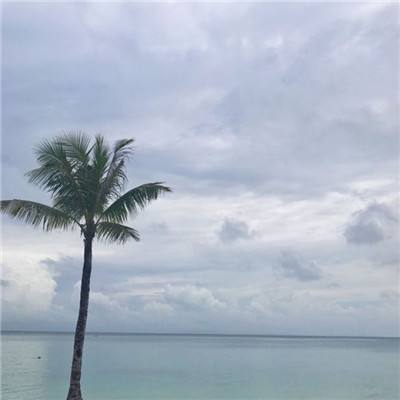 NG28下载地址官网