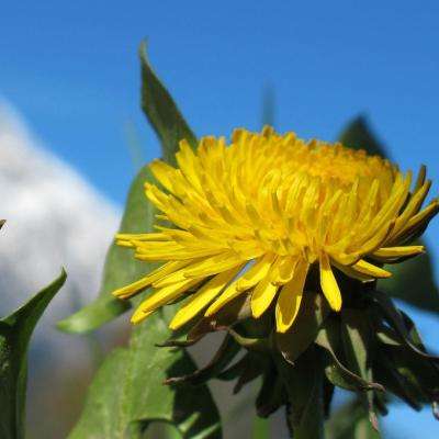 500彩票welcome登录