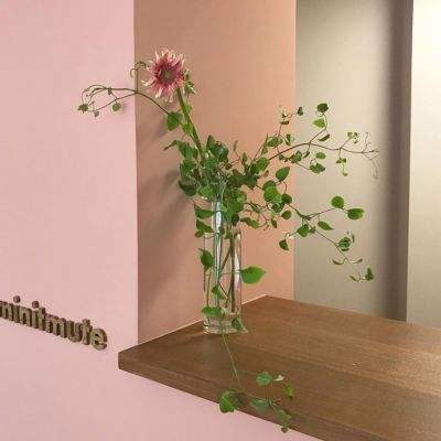 皇冠新体育手机app下载