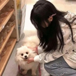 PG·麻将胡了app下载